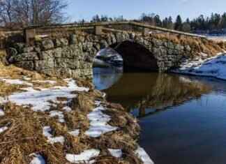 Emma Stone and Ryan Gosling: Why Their Chemistry Shines on Screen Emma Stone and Ryan Gosling: Why Their Chemistry Shines on Screen