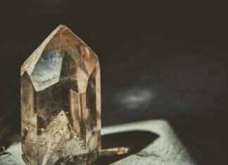 Emma Stone and the Kinds of Kindness She Brings to Hollywood Emma Stone and the Kinds of Kindness She Brings to Hollywood