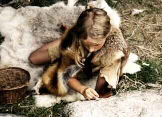 Emma Stone at the Oscars: Her Journey to Winning Hollywood’s Most Prestigious Award Emma Stone at the Oscars: Her Journey to Winning Hollywood’s Most Prestigious Award