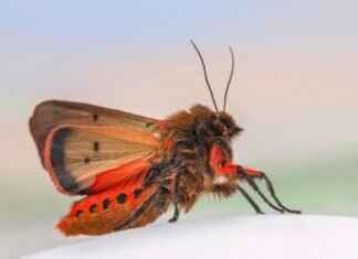 Emma Stone Baby News: The Actress’s Growing Family Life Emma Stone Baby News: The Actress’s Growing Family Life