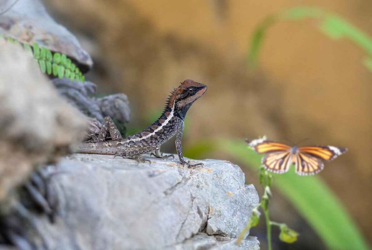 Emma Stone BAFTA Win: A Look at Her Achievements in the UK 1 What Did Emma Stone Achieve with Her BAFTA Win?