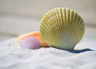 Emma Stone Bikini Photos: A Look at Her Stunning Beachside Moments Emma Stone Bikini Photos: A Look at Her Stunning Beachside Moments