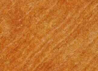 Emma Stone Boobs: A Look at Her Stunning Red Carpet Appearances Emma Stone Boobs: A Look at Her Stunning Red Carpet Appearances