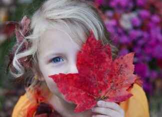 Emma Stone Brother: Insights into Her Family Life and Siblings Emma Stone Brother: Insights into Her Family Life and Siblings