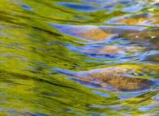 Emma Stone Daughter Name: The Sweetest Details About Her Family Life Emma Stone Daughter Name: The Sweetest Details About Her Family Life