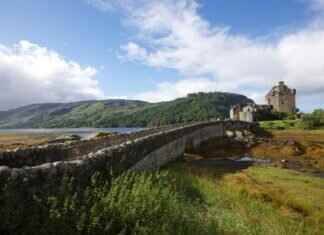 Emma Stone Face Surgery: Debunking the Rumors About Her Appearance Emma Stone Face Surgery: Debunking the Rumors About Her Appearance