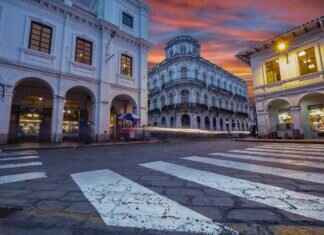 Emma Stone Family: How Her Upbringing Shaped Her Hollywood Career Emma Stone Family: How Her Upbringing Shaped Her Hollywood Career