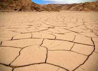 Emma Stone Golden Globes 2025: What to Expect from Her at the Awards Emma Stone Golden Globes 2025: What to Expect from Her at the Awards