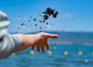 Emma Stone in Crazy Stupid Love: The Romantic Comedy That Stole Hearts Emma Stone in Crazy Stupid Love: The Romantic Comedy That Stole Hearts