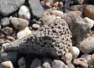 Emma Stone Nude Pics: What We Know About Her Scandalous Roles Emma Stone Nude Pics: What We Know About Her Scandalous Roles