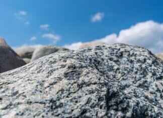 Emma Stone Nude: What We Know About Her Bold Movie Roles Emma Stone Nude: What We Know About Her Bold Movie Roles