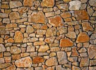 Emma Stone Parents: How Her Family Influenced Her Career Path Emma Stone Parents: How Her Family Influenced Her Career Path