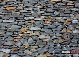 Emma Stone Poor Thing Nude Scene: A Bold Step in Her Career Emma Stone Poor Thing Nude Scene: A Bold Step in Her Career