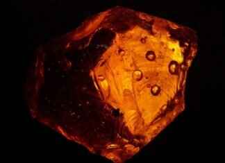 Emma Stone Poor Things Sex: A Deep Dive into Her Most Risqué Scene Yet Emma Stone Poor Things Sex: A Deep Dive into Her Most Risqué Scene Yet