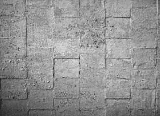 Emma Stone Poor Things Sex Scene: What Happened Behind the Scenes Emma Stone Poor Things Sex Scene: What Happened Behind the Scenes