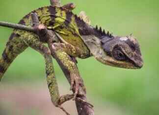 Emma Stone Porn Rumors: Separating Fact from Fiction About the Actress Emma Stone Porn Rumors: Separating Fact from Fiction About the Actress