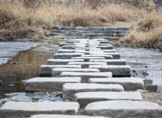 Emma Stone Pornstar Rumors: Fact vs. Fiction About the Actress’s Career Emma Stone Pornstar Rumors: Fact vs. Fiction About the Actress’s Career