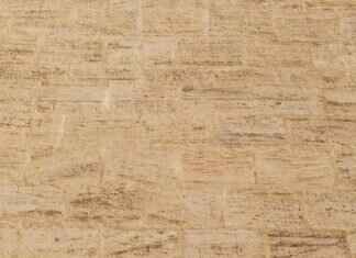 Emma Stone Sex Tape: Rumors and What’s the Truth Behind Them Emma Stone Sex Tape: Rumors and What’s the Truth Behind Them