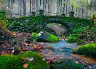 Emma Stone: The Untold Story Behind Her Career and Rise to Fame Emma Stone: The Untold Story Behind Her Career and Rise to Fame