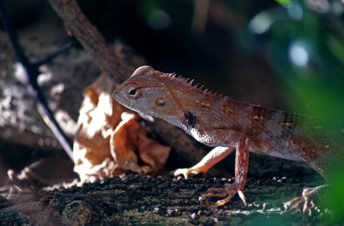 How Does Emma Stone Select Her Red Carpet Shoes?