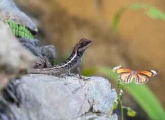 Emma Stone Topless Scenes: Exploring Her Most Bold Performances Emma Stone Topless Scenes: Exploring Her Most Bold Performances