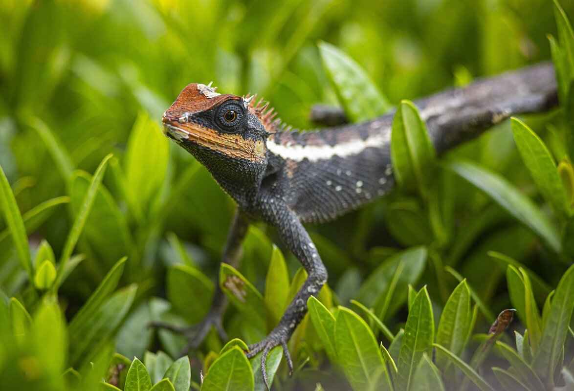 Emma Stone XXX Scenes: Exploring Her Bold Choices in Film 1 What Motivates Emma Stone's Bold Choices?