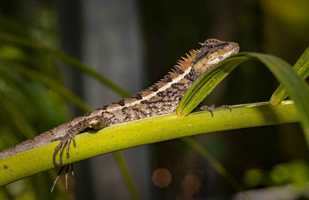 Emma Stone XXX Scenes: Exploring Her Bold Choices in Film 3 What Are the Cultural Implications of Emma Stone's Choices?