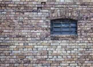 Emma Stoned: Exploring the Influence of Her Unique Style Emma Stoned: Exploring the Influence of Her Unique Style