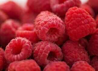 Emma Stone’s Best Red Carpet Moments: A Fashion Timeline Emma Stone’s Best Red Carpet Moments: A Fashion Timeline