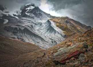 Emma Stone’s Feet: Fans Reveal Their Fascination Emma Stone’s Feet: Fans Reveal Their Fascination