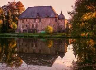 Emma Stone’s Journey to Stardom: From Auditions to the Big Screen Emma Stone’s Journey to Stardom: From Auditions to the Big Screen