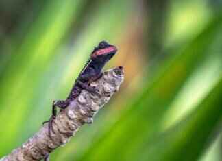 Emma Stone’s Oscar Win: The Night That Marked Her Legacy in Hollywood Emma Stone’s Oscar Win: The Night That Marked Her Legacy in Hollywood