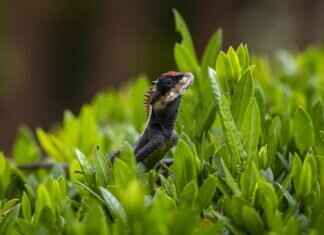 Emma Stone’s Poor Things Nude Scene: Everything You Need to Know Emma Stone’s Poor Things Nude Scene: Everything You Need to Know