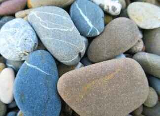 Emma Stone’s Surprising Real Name: What You Didn’t Know About the Actress Emma Stone’s Surprising Real Name: What You Didn’t Know About the Actress