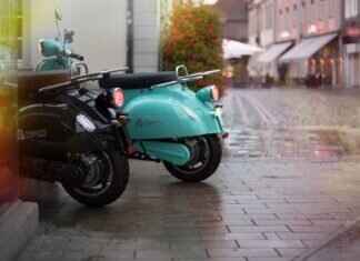 Emolga Pokémon: Best Moves, Strengths, and Competitive Battle Tips Emolga Pokémon: Best Moves, Strengths, and Competitive Battle Tips