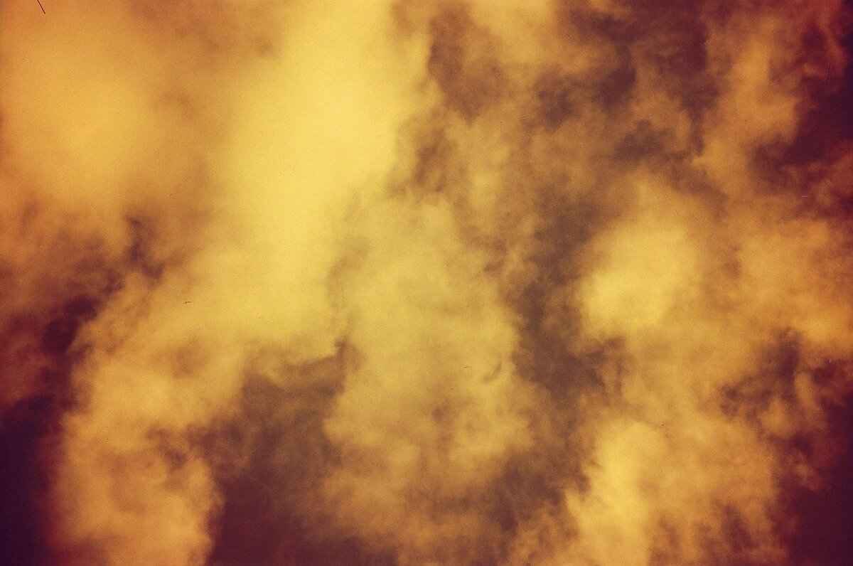 The Role of Feminism in Film Critique