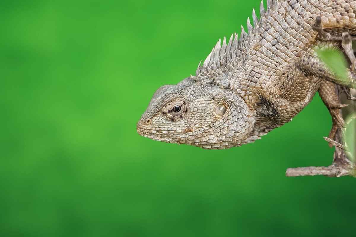 Eva Green's Iconic Roles and Their Impact