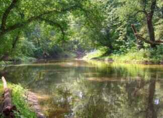 Eva Green on the Future of Her Acting Career Eva Green on the Future of Her Acting Career