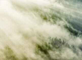 Eva Green on Working With Tim Burton Eva Green on Working With Tim Burton