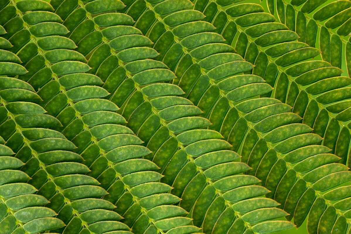 Eva Green’s BAFTA Journey: How She Became a Nominee 8 Upcoming Projects and Future Aspirations