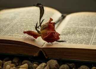 Eva Green’s Favorite Books, Music, and Inspirations Eva Green’s Favorite Books, Music, and Inspirations