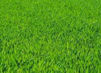 Eva Green’s Favorite Designers & Fashion Brands Eva Green’s Favorite Designers & Fashion Brands