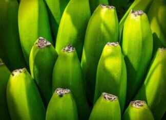 Eva Green’s Funniest and Most Unexpected Interview Moments Eva Green’s Funniest and Most Unexpected Interview Moments