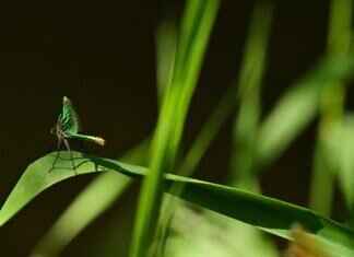 Eva Green’s Hottest Sex Scenes That Left Audiences Speechless Eva Green’s Hottest Sex Scenes That Left Audiences Speechless