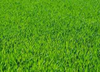 Eva Green’s Influence on Young Actresses Today Eva Green’s Influence on Young Actresses Today