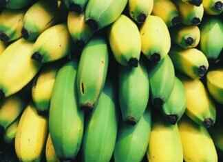 Eva Green’s Most Award-Worthy Moments on Screen Eva Green’s Most Award-Worthy Moments on Screen