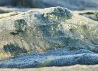 Eva Green’s Most Challenging Film Roles & Behind-the-Scenes Stories Eva Green’s Most Challenging Film Roles & Behind-the-Scenes Stories