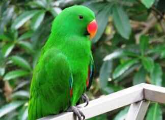 Eva Green’s Most Intense Sex Scenes and the Stories Behind Them Eva Green’s Most Intense Sex Scenes and the Stories Behind Them