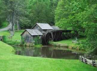 Eva Green’s Most Memorable Interviews and Quotes Eva Green’s Most Memorable Interviews and Quotes