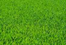 Eva Green’s Most Unforgettable Movie Sex Scenes Eva Green’s Most Unforgettable Movie Sex Scenes